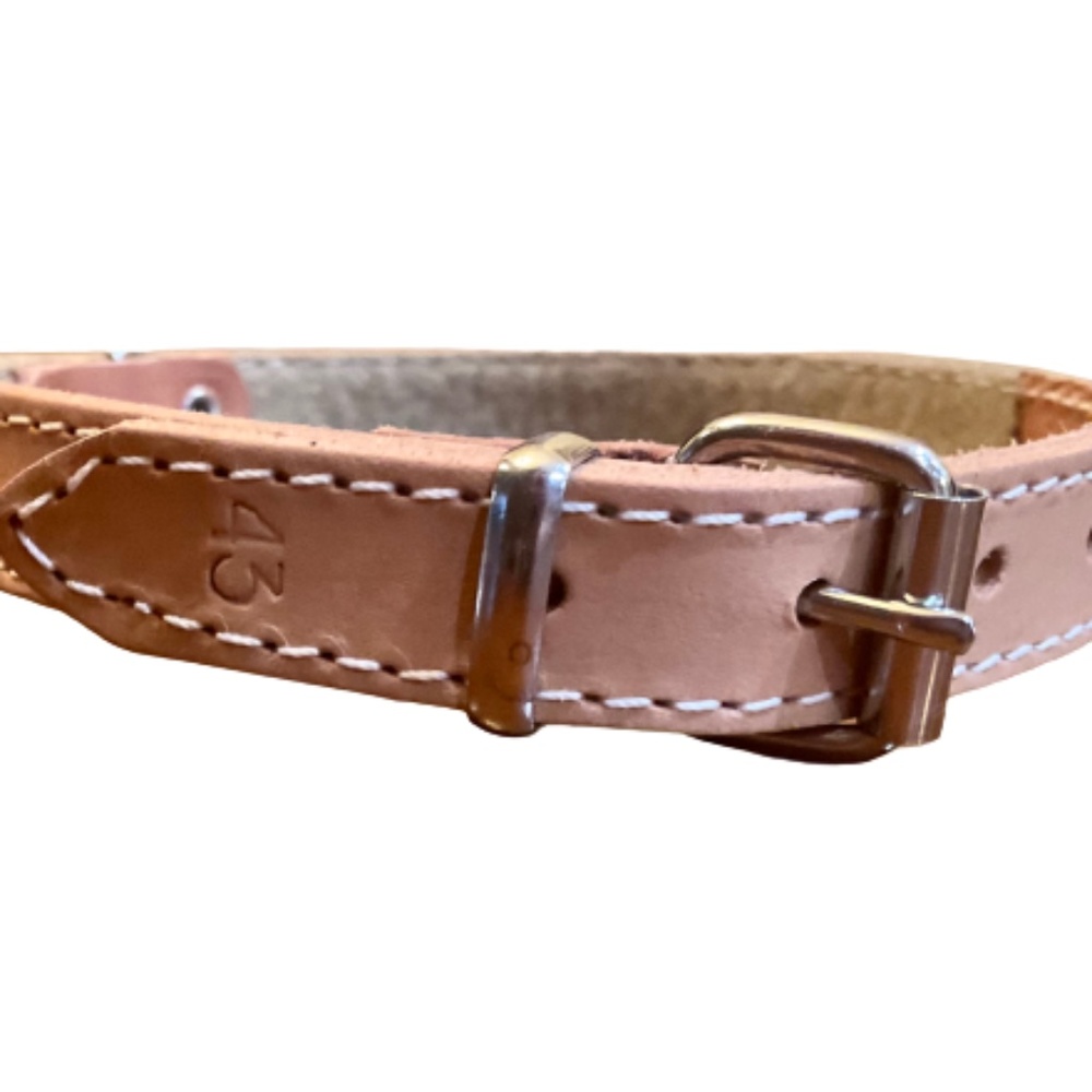 Soft Leather 16” Dog Collar with Silver Hardware